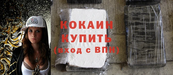 индика Баксан