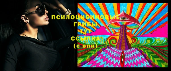 индика Баксан