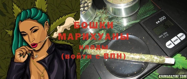 индика Баксан