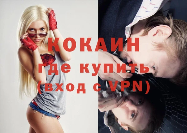индика Баксан