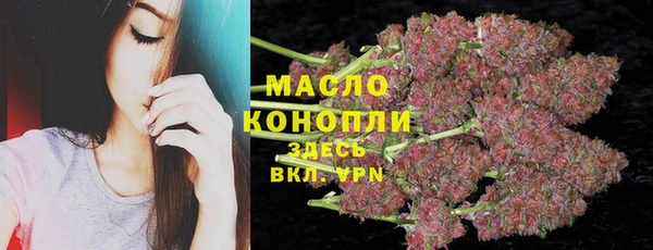 индика Баксан