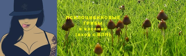 индика Баксан