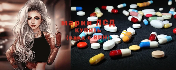 индика Баксан
