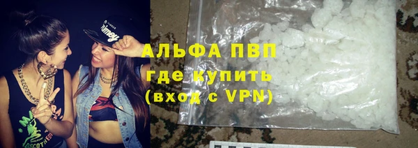 индика Баксан